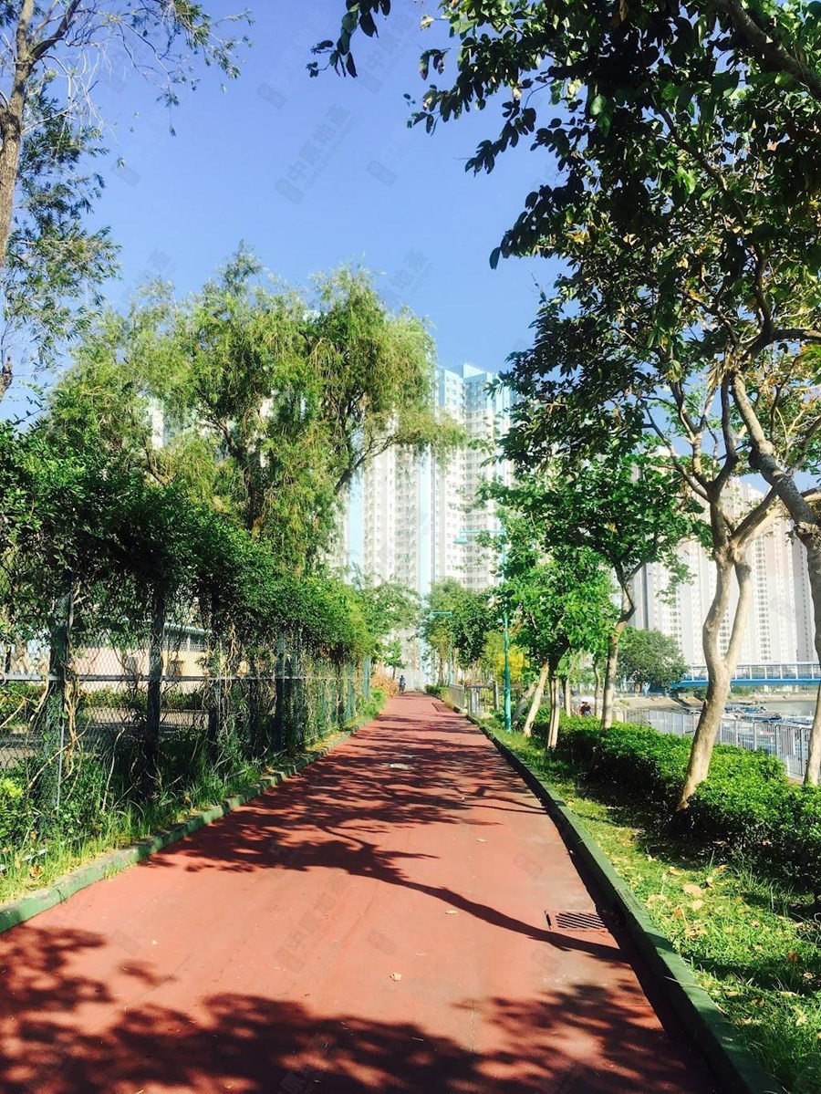 富健花园 12座, 相片
