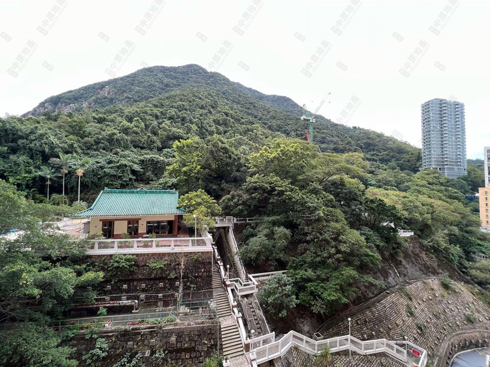 窗外景观-由露台