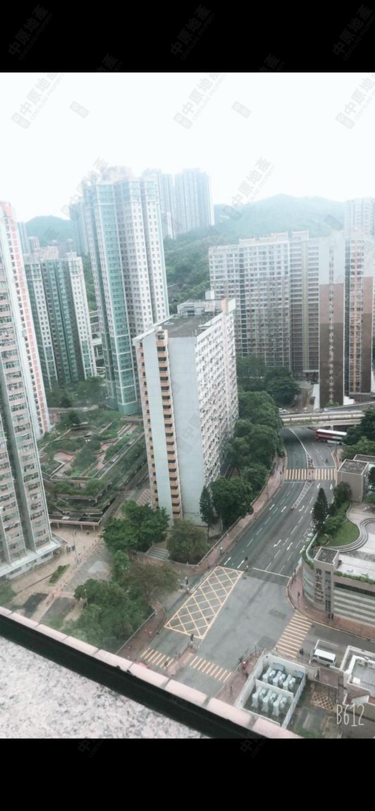 窗外景观-由客厅