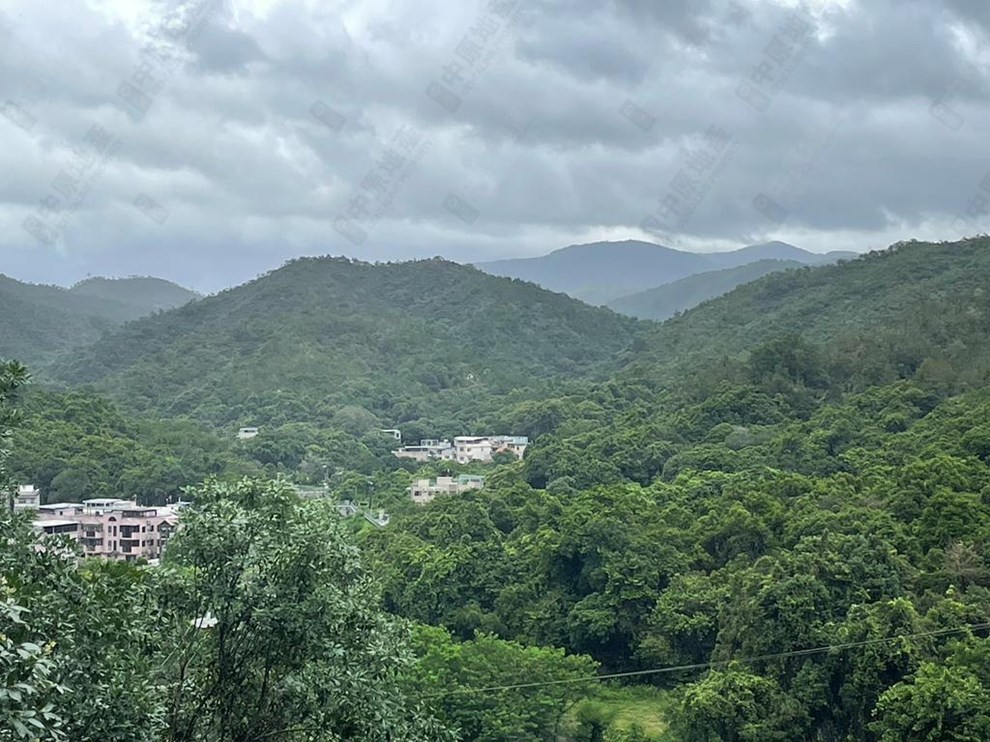 Outside View-From Living Room