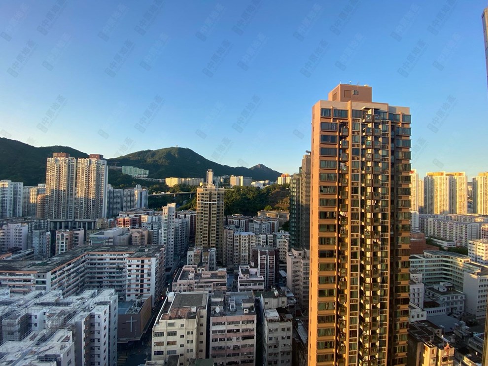 窗外景观-由主人房