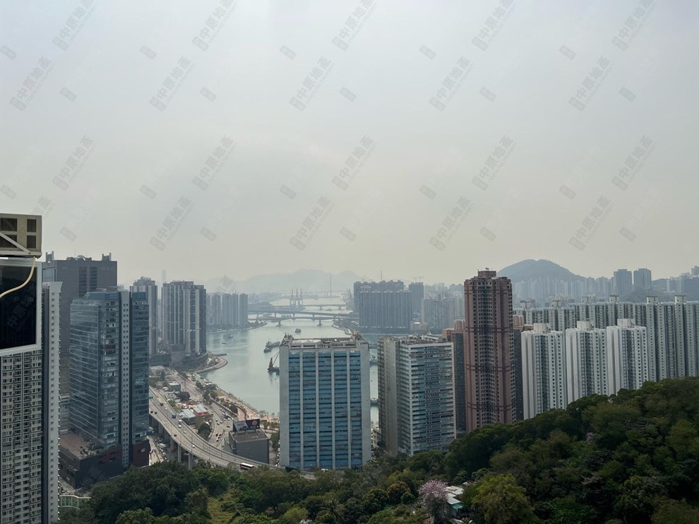 窗外景观-由客厅