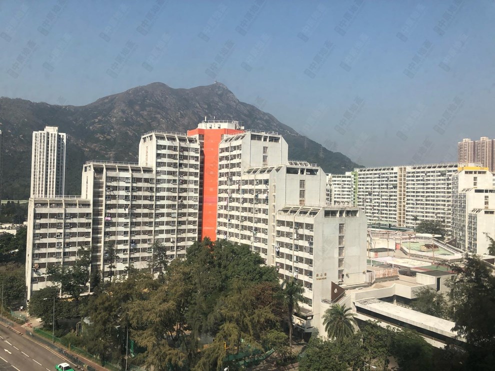 窗外景观-由主人房