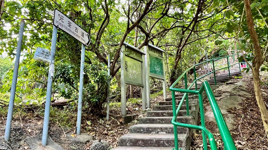 荃威花园 M座, 相片
