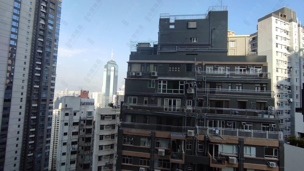 窗外景觀-由客廳