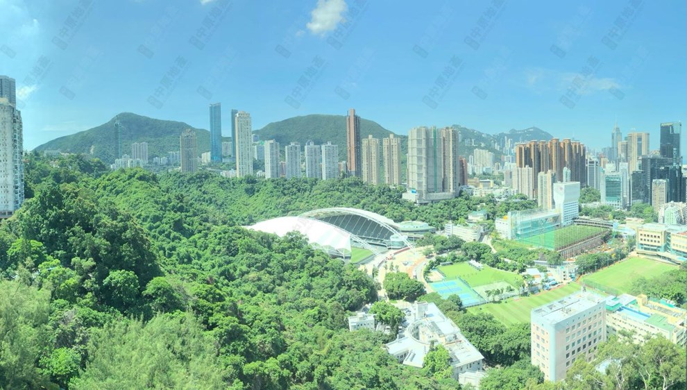 Outside View-From Study Room