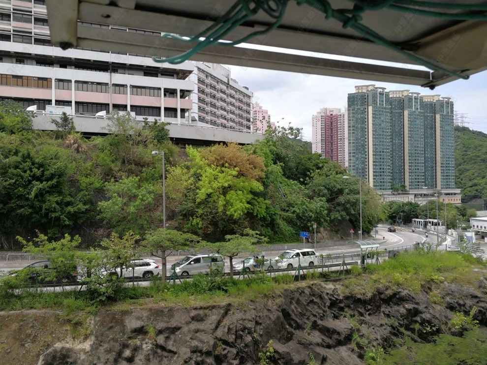 窗外景觀-由客廳