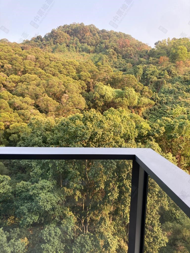 Outside View-From Dining Room