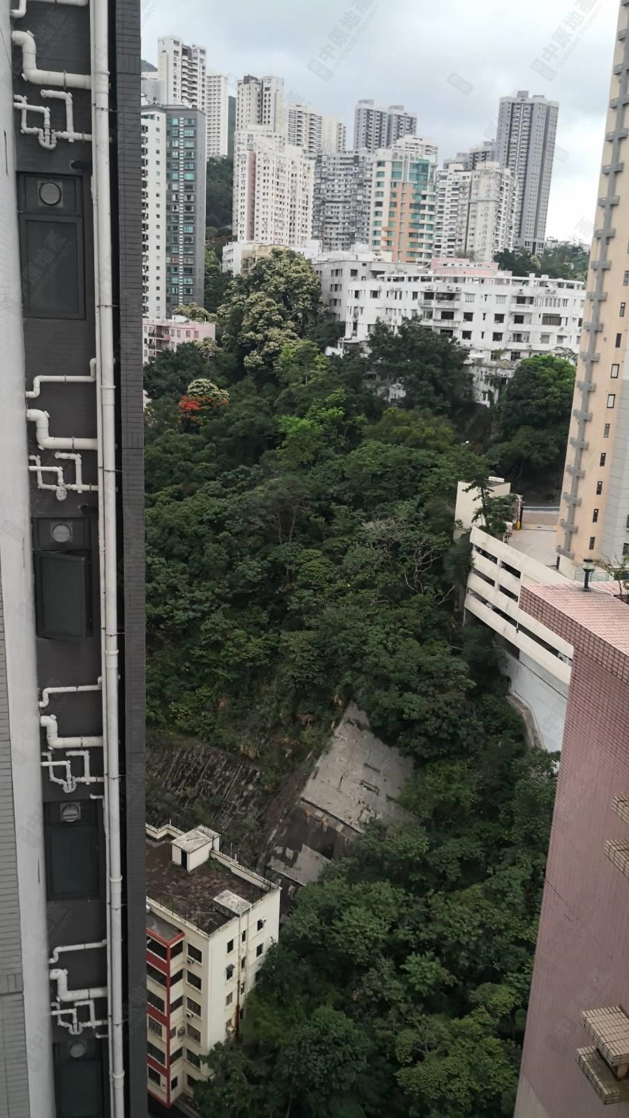 窗外景觀-由睡房