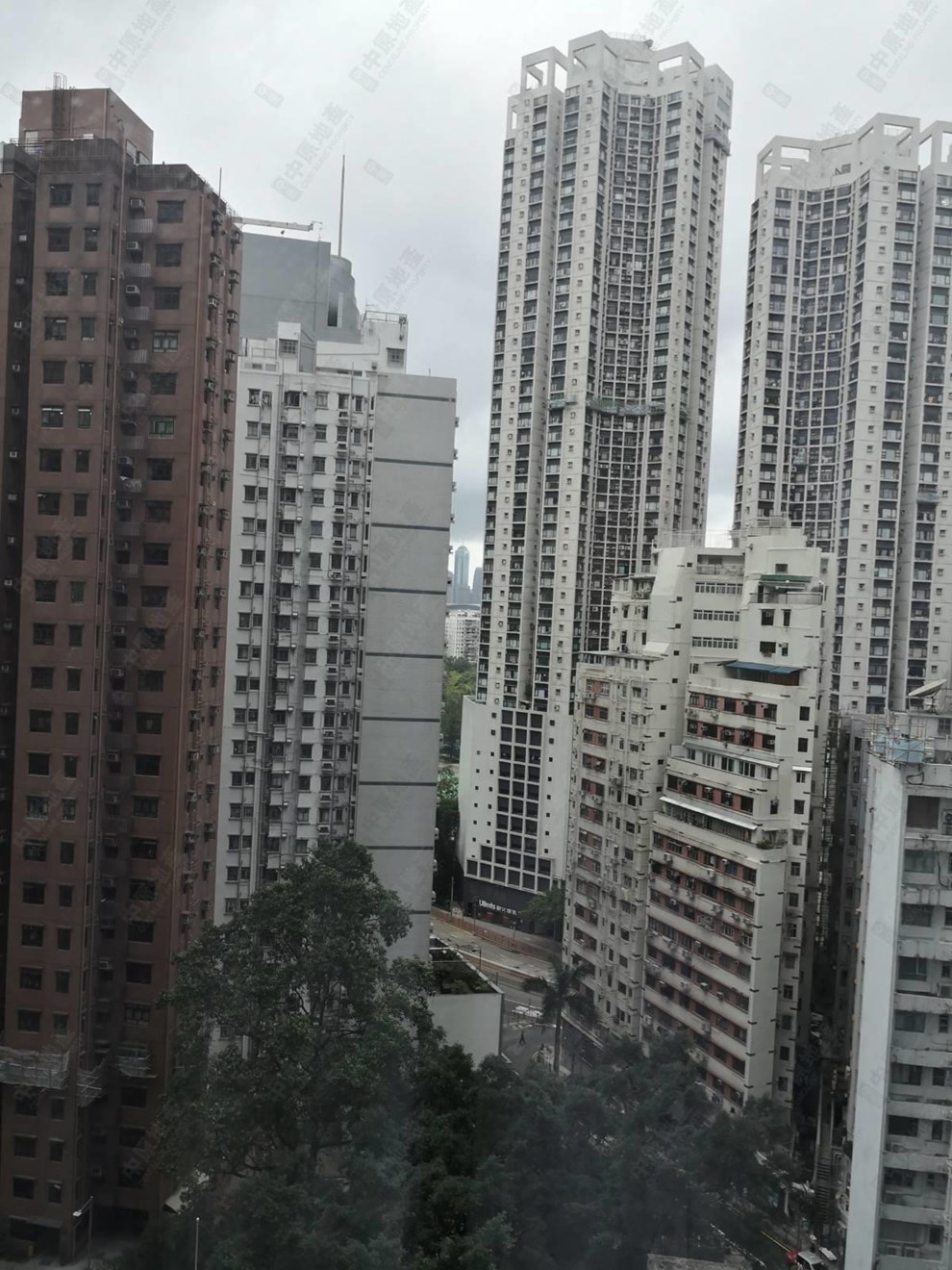 窗外景觀-由睡房