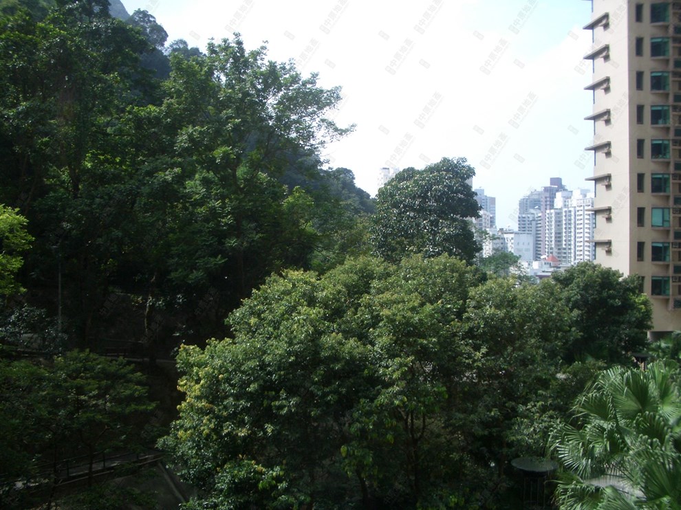 窗外景觀-山景