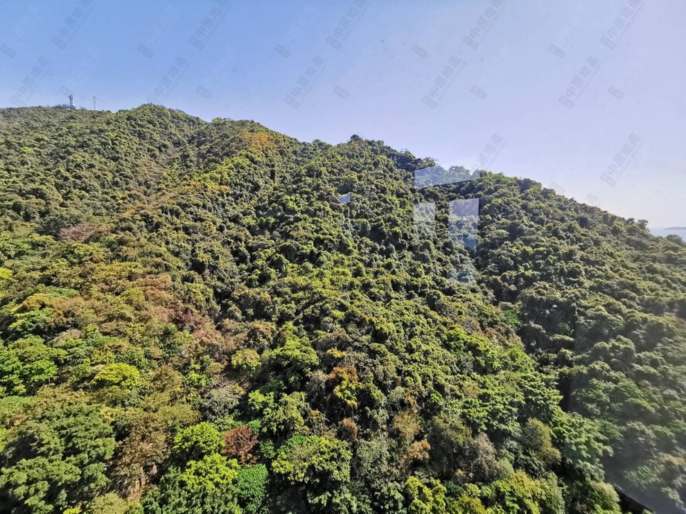 Outside View-From Bedroom