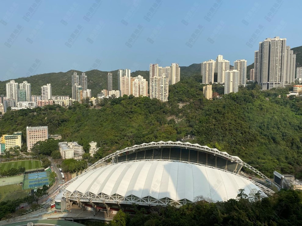 窗外景观-由客厅