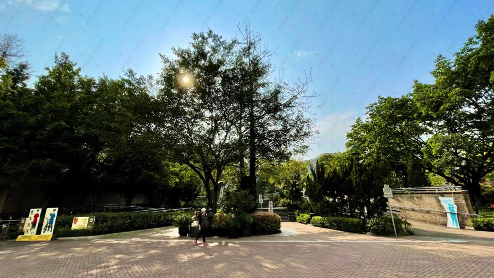 Nearby Environment-Park