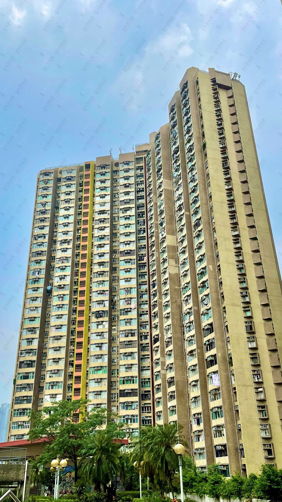 青雅苑, 相片
