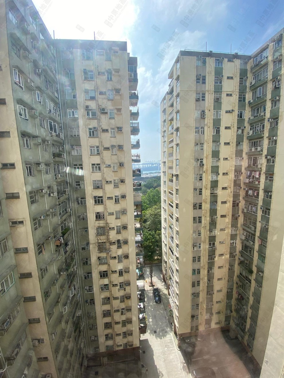 窗外景觀-由主人房