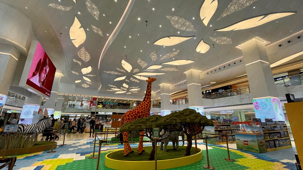 Nearby Environment-Shopping Mall