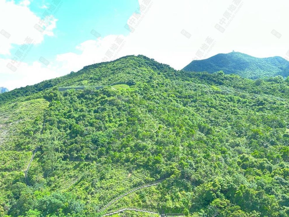 Nearby Environment-Nearby View