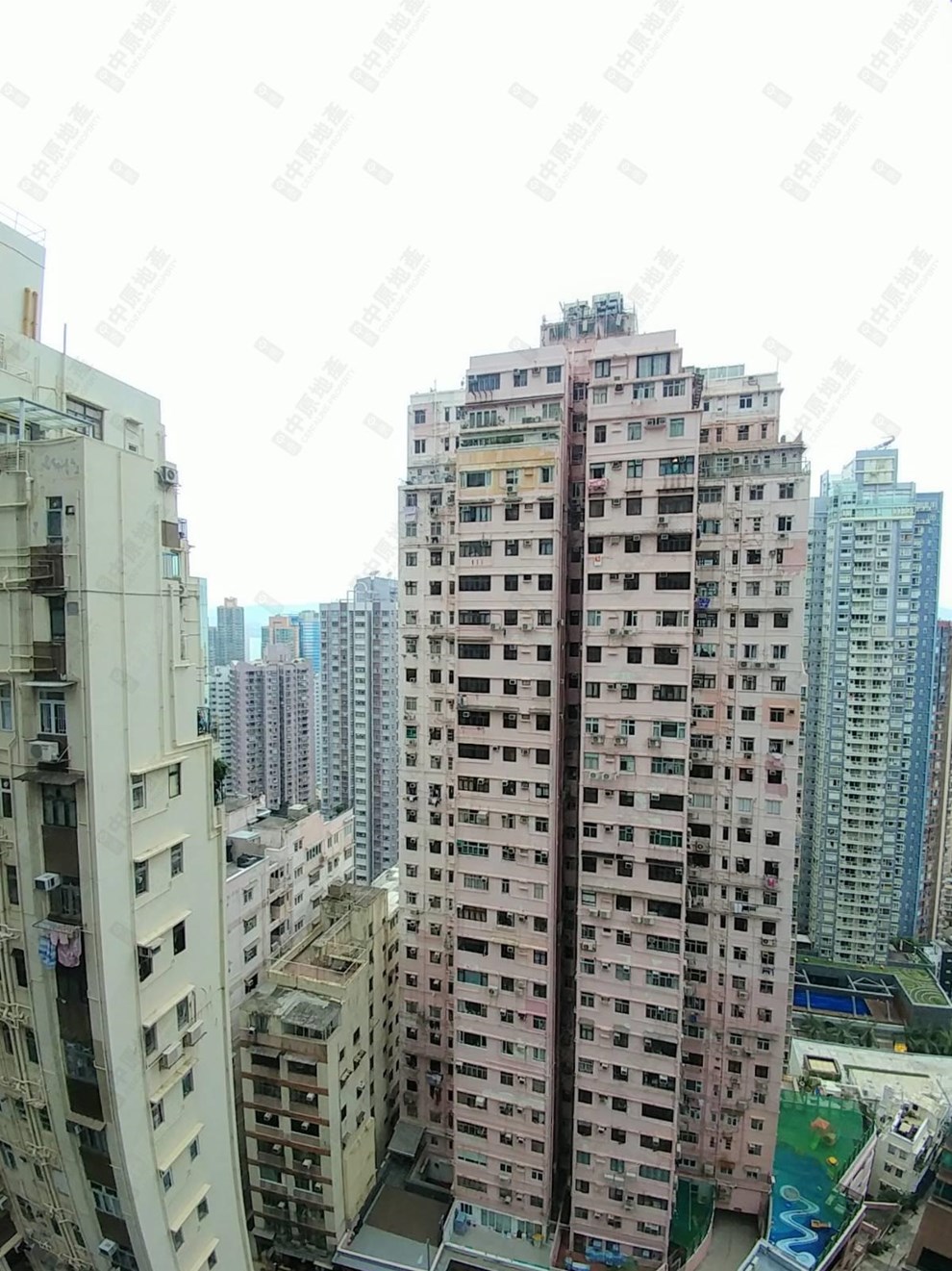 窗外景觀-由客廳