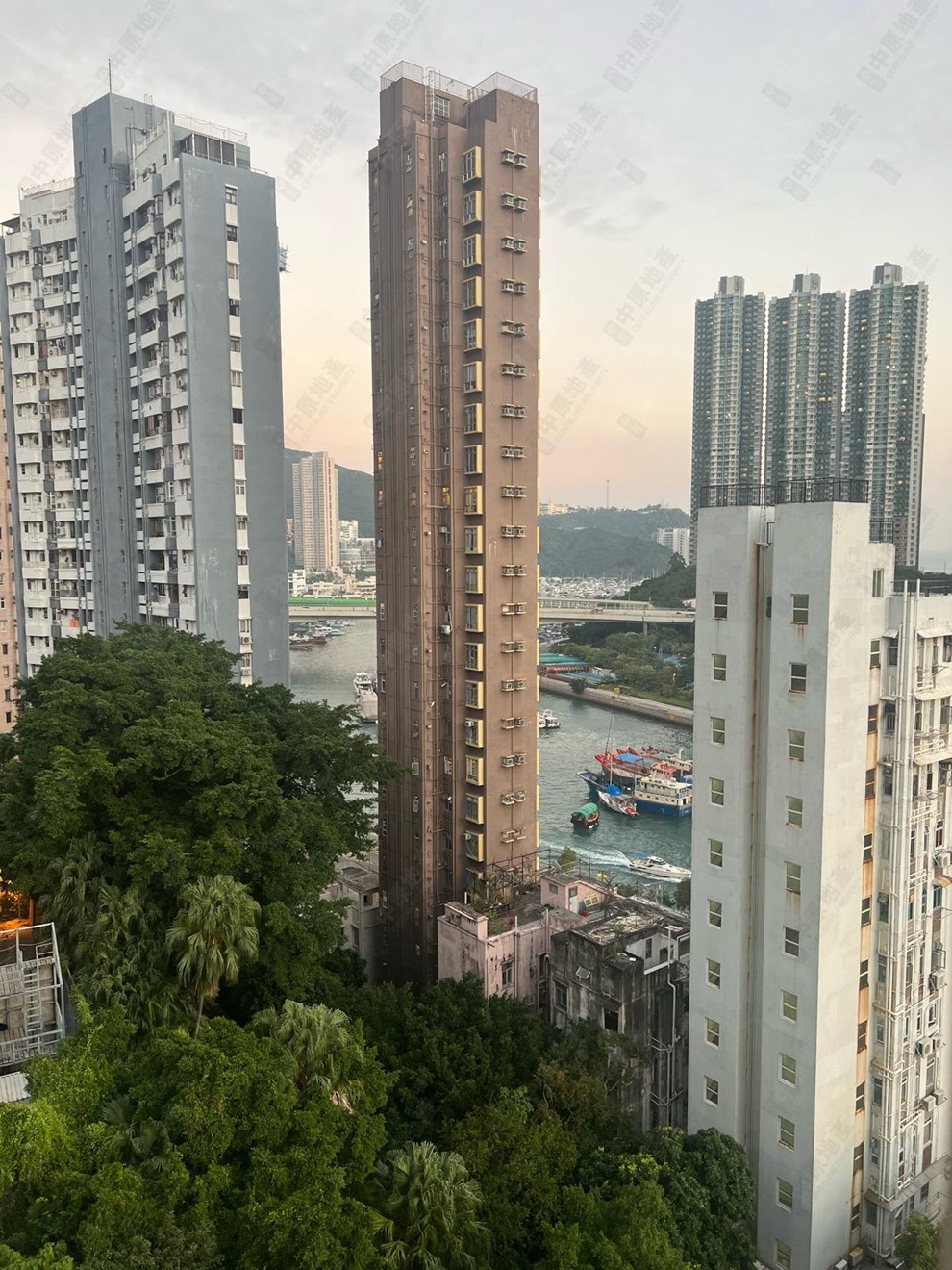 Outside View-From Dining Room