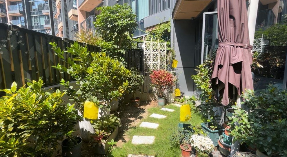 單位外部-花園