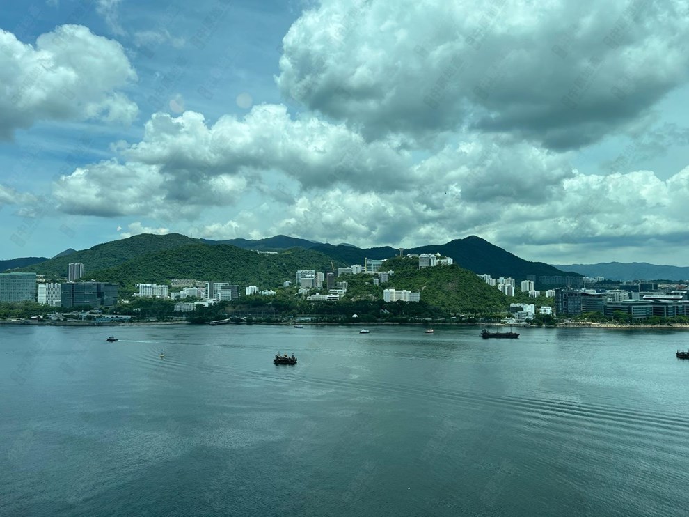 窗外景观-由客厅