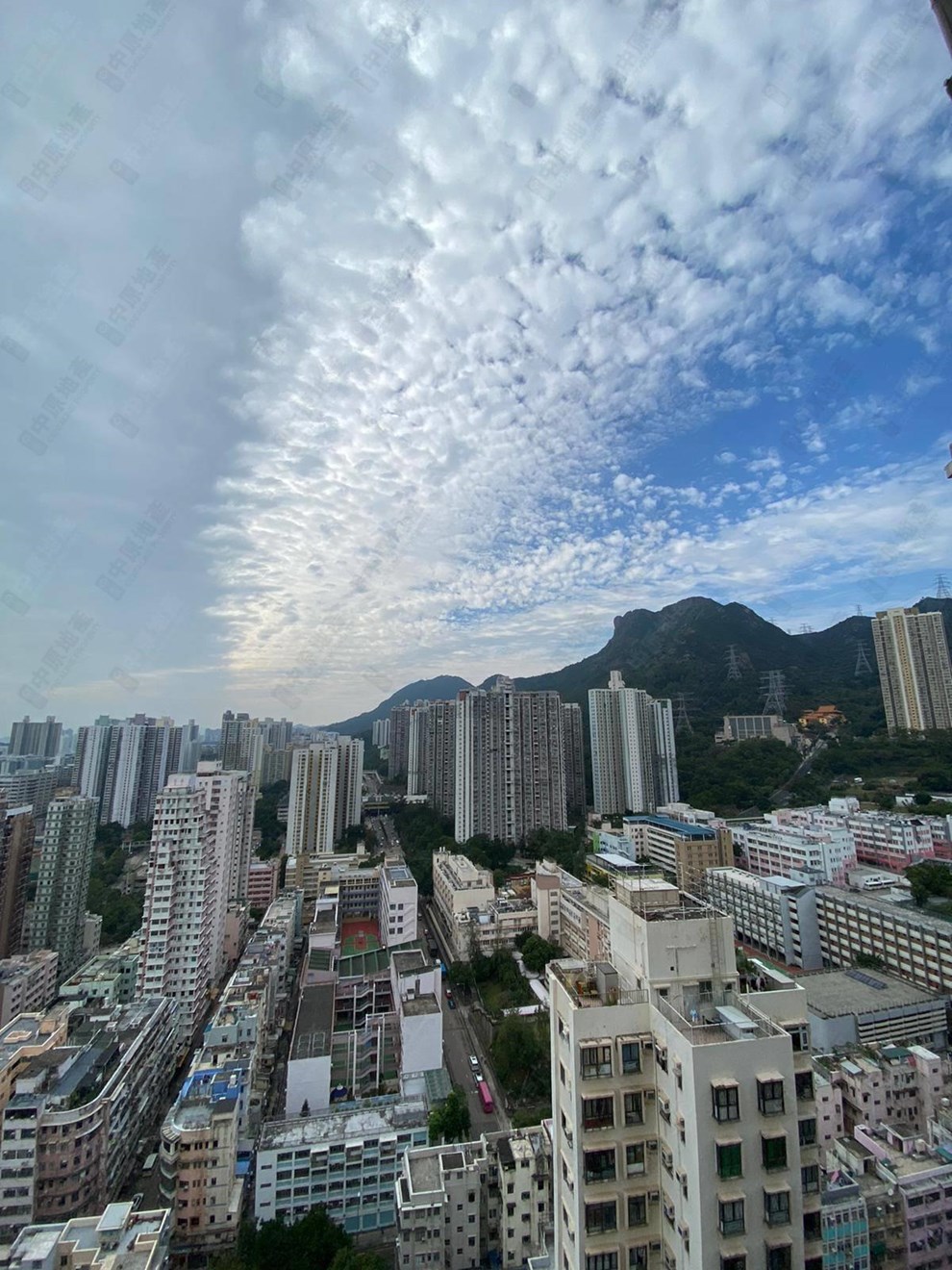窗外景觀-開揚