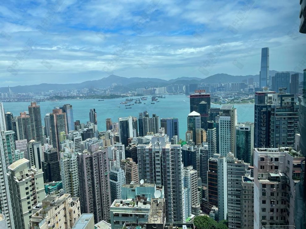 窗外景觀-由客廳