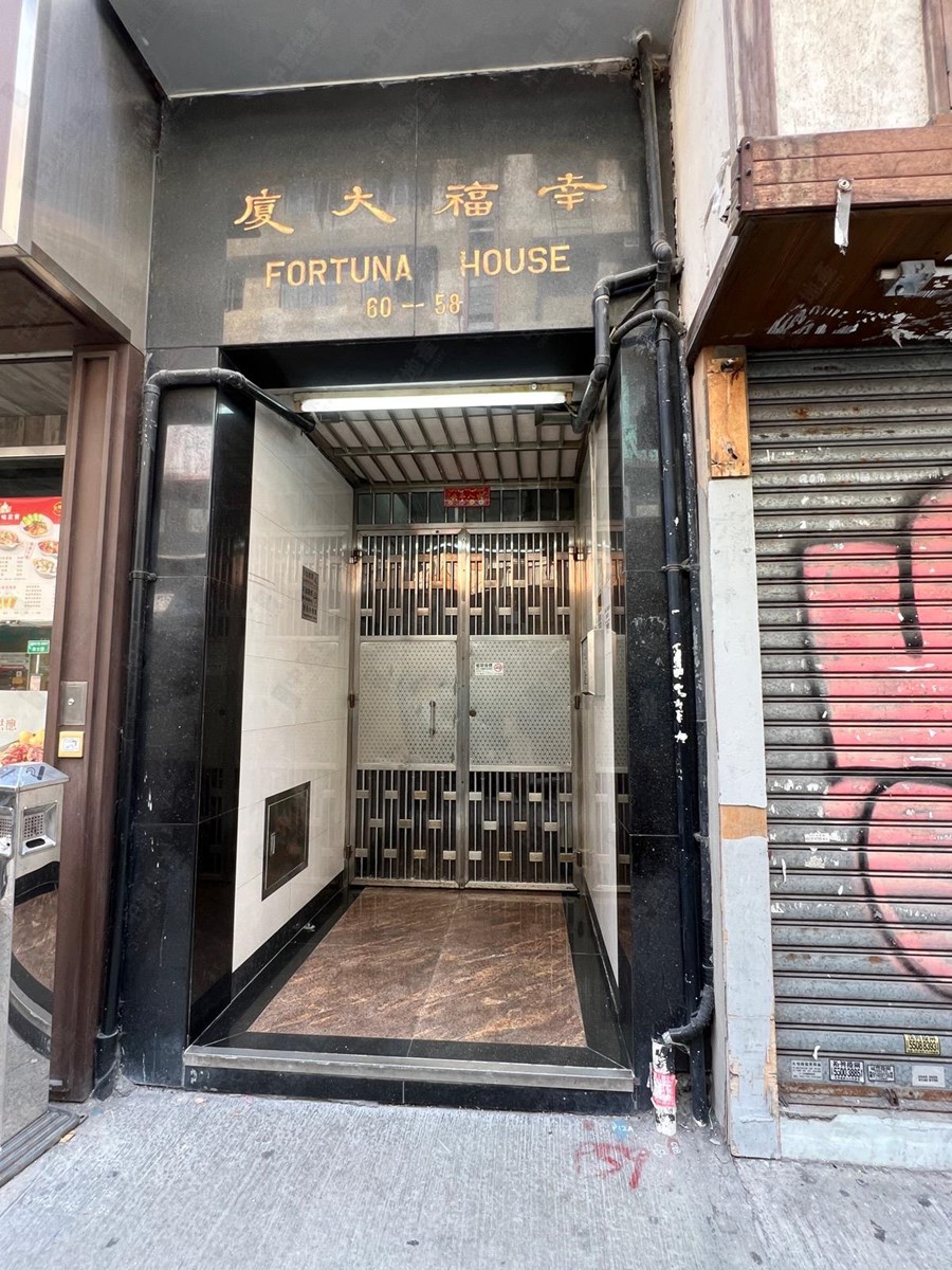 加连威老道, 相片