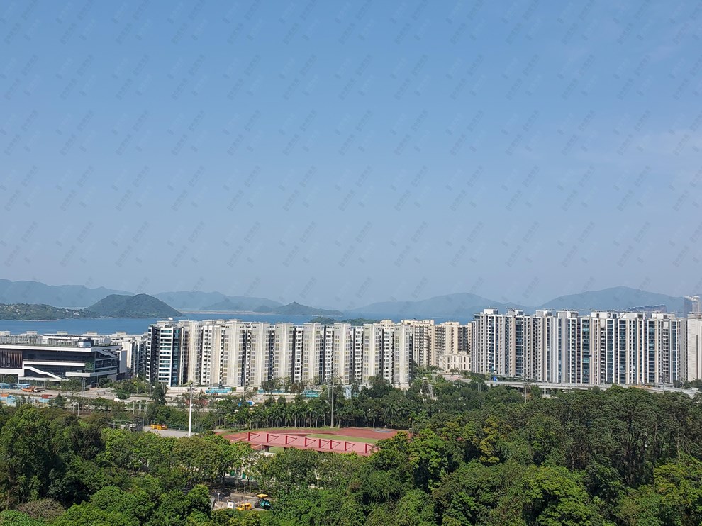 Nearby Environment-Nearby View