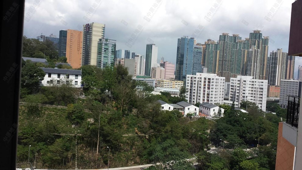 窗外景觀-由客廳