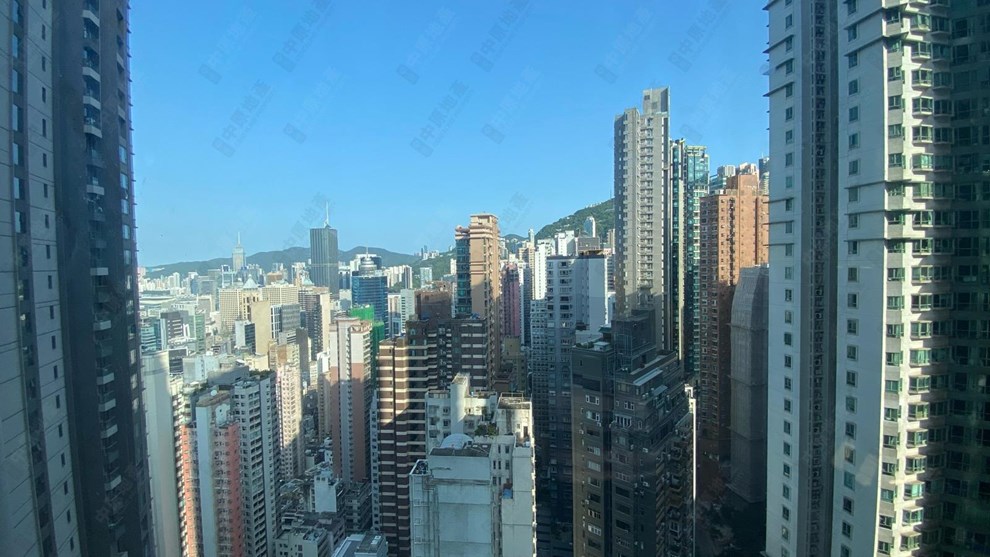 窗外景观-由露台