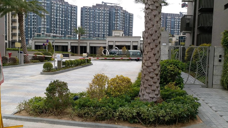 NAPA 6A座, 相片