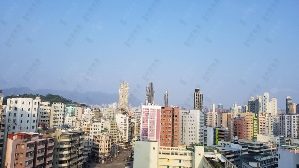 窗外景觀-由客廳