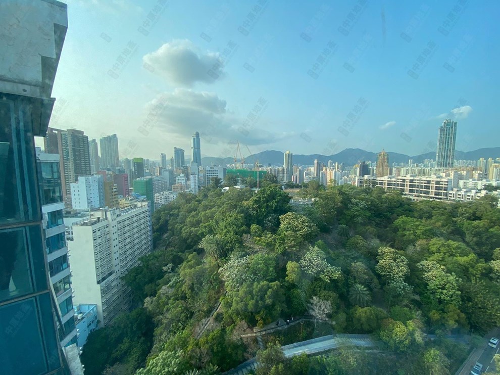 Outside View-From Living Room