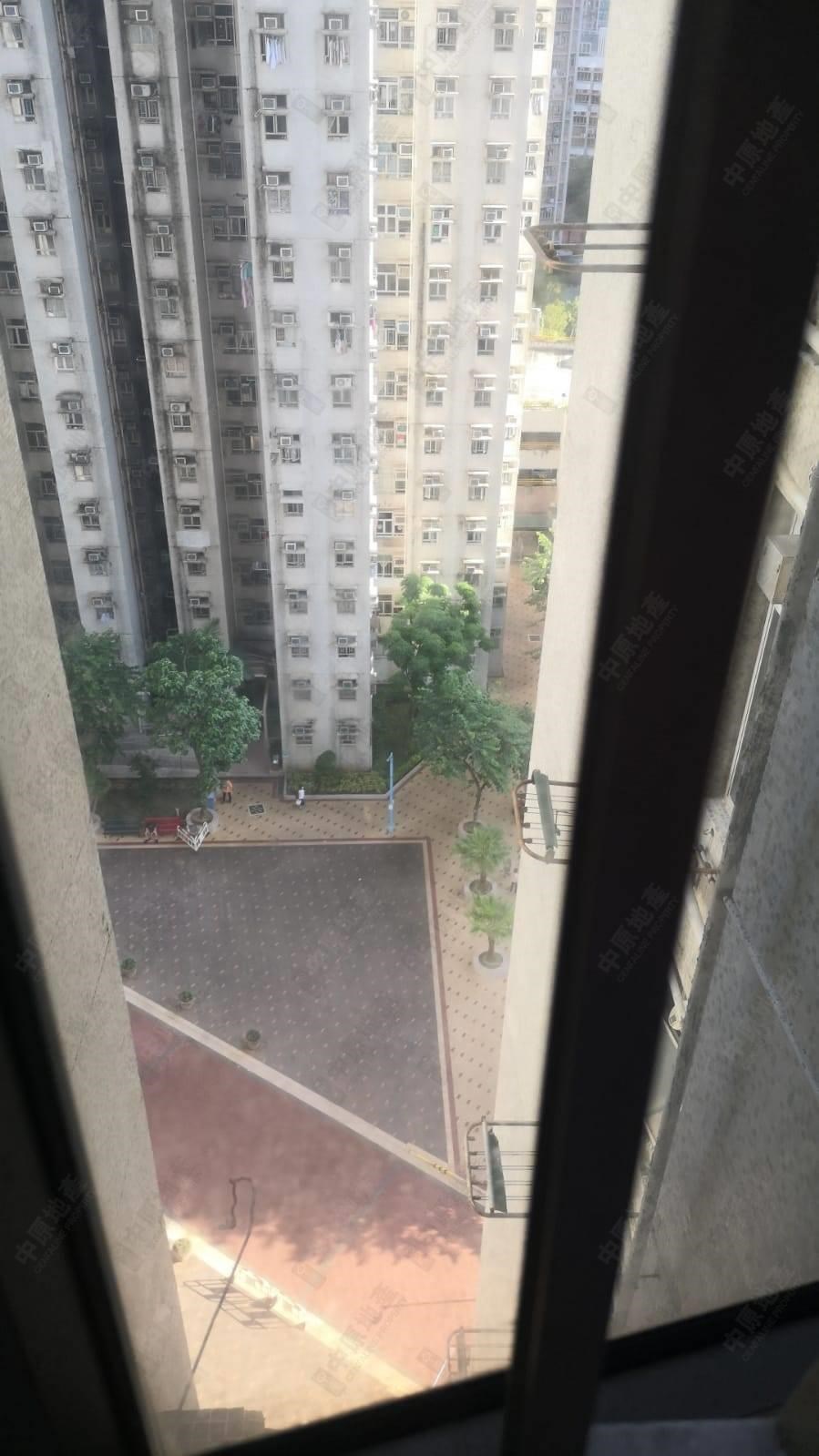 窗外景觀-由客廳