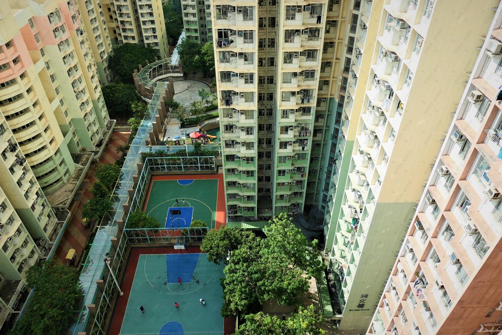 Nearby Environment-Nearby View