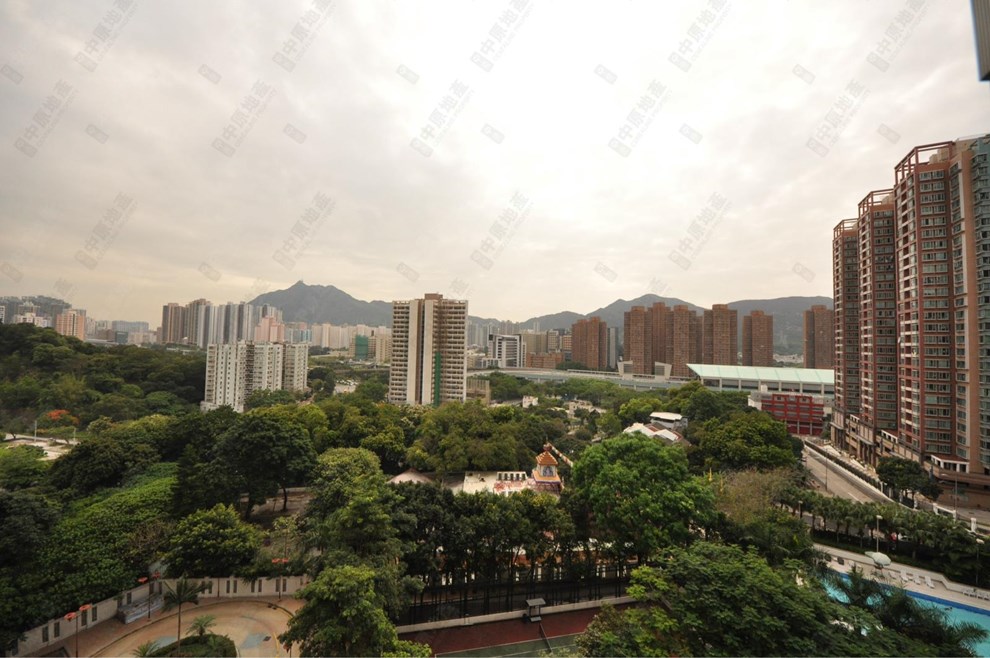 Outside View-From Living Room