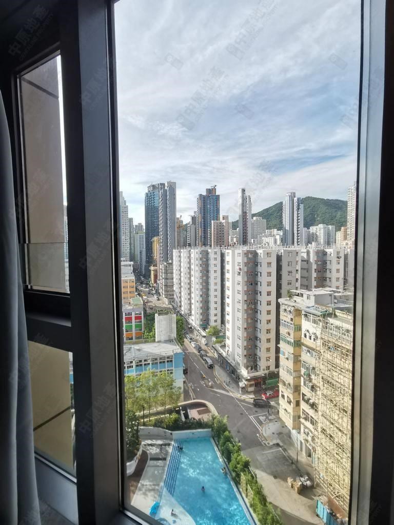 窗外景观-由客厅