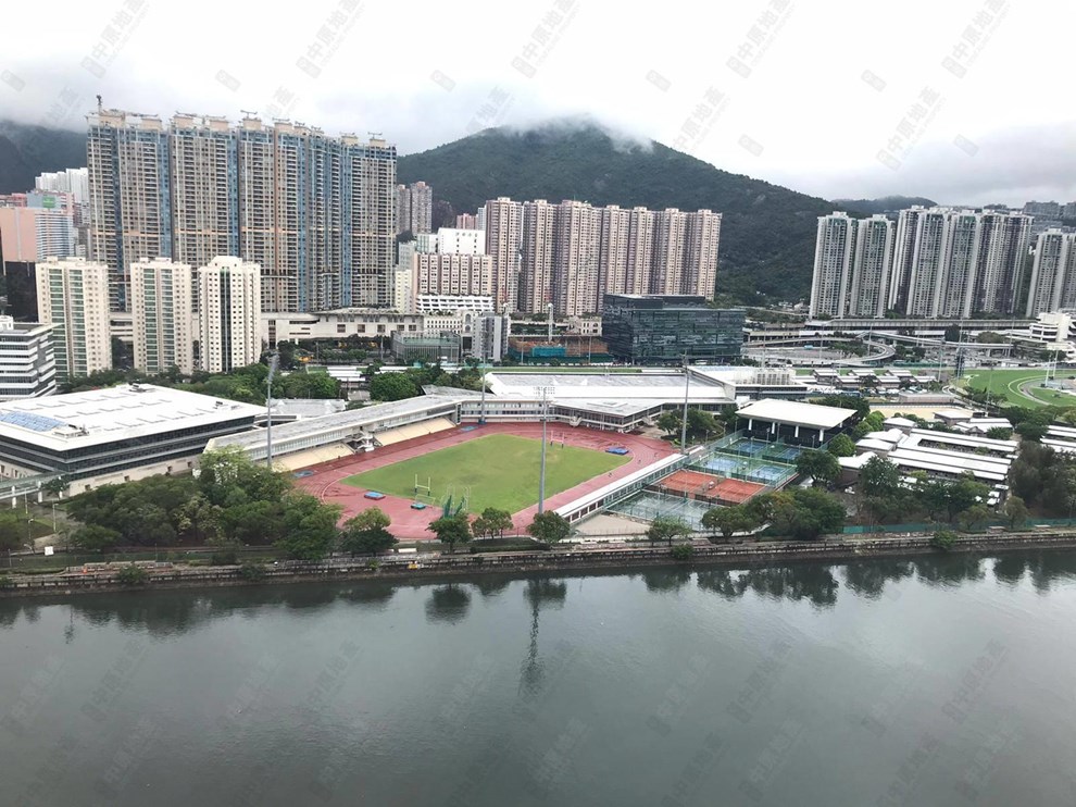 窗外景觀-由客廳