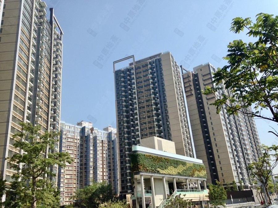 溱柏 6座, 相片