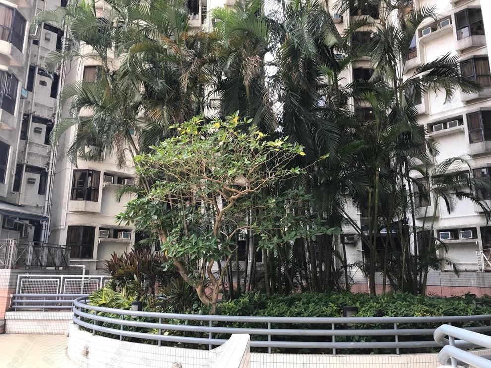 Estate-Podium