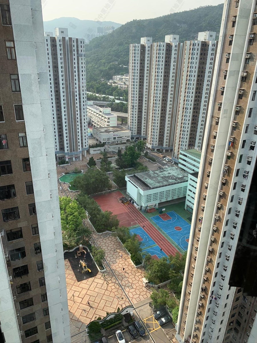 绿杨新邨 S座, 相片