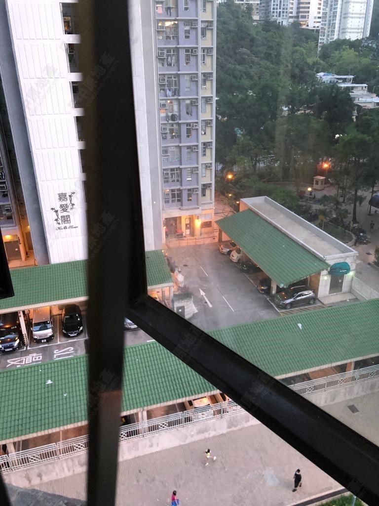 Outside View-From Bedroom