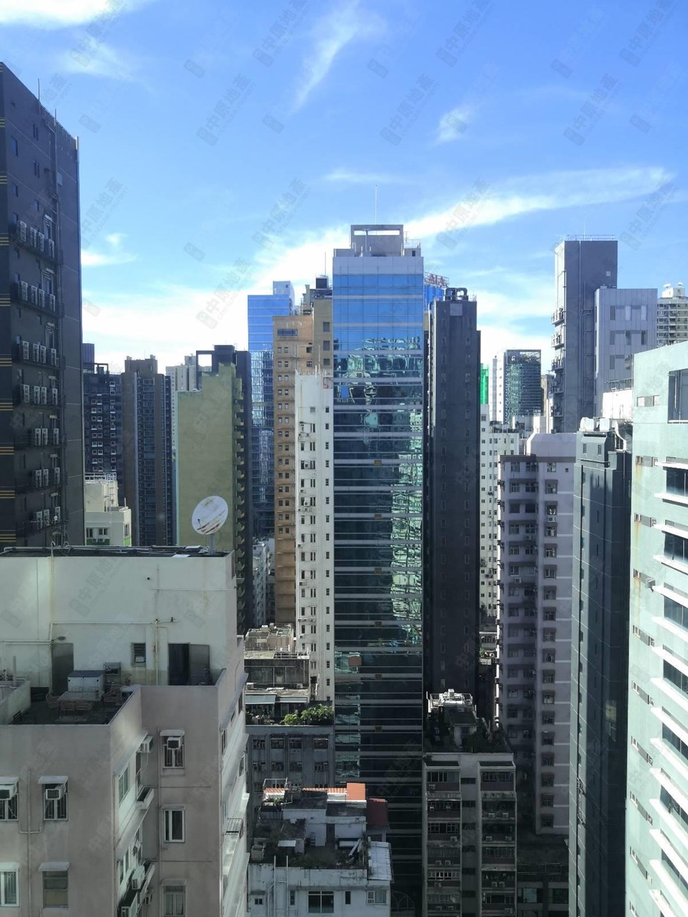 窗外景觀-開揚
